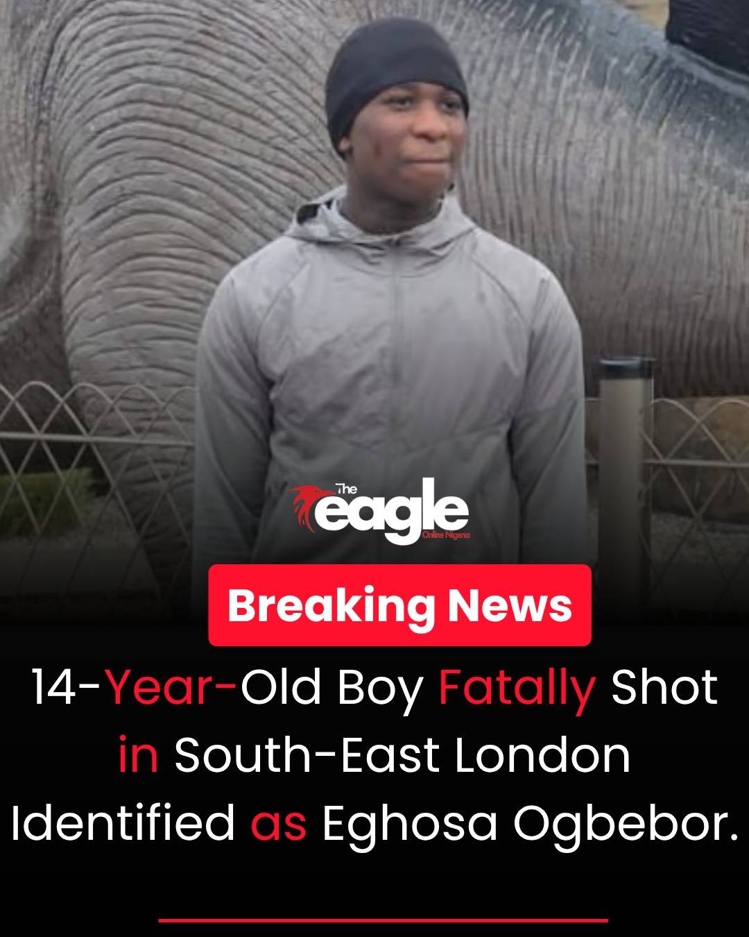 14-Year-Old Eghosa Ogbebor Fatally Shot in Woolwich; Three Arrested
A 14-year-old boy, Eghosa Ogbeb...