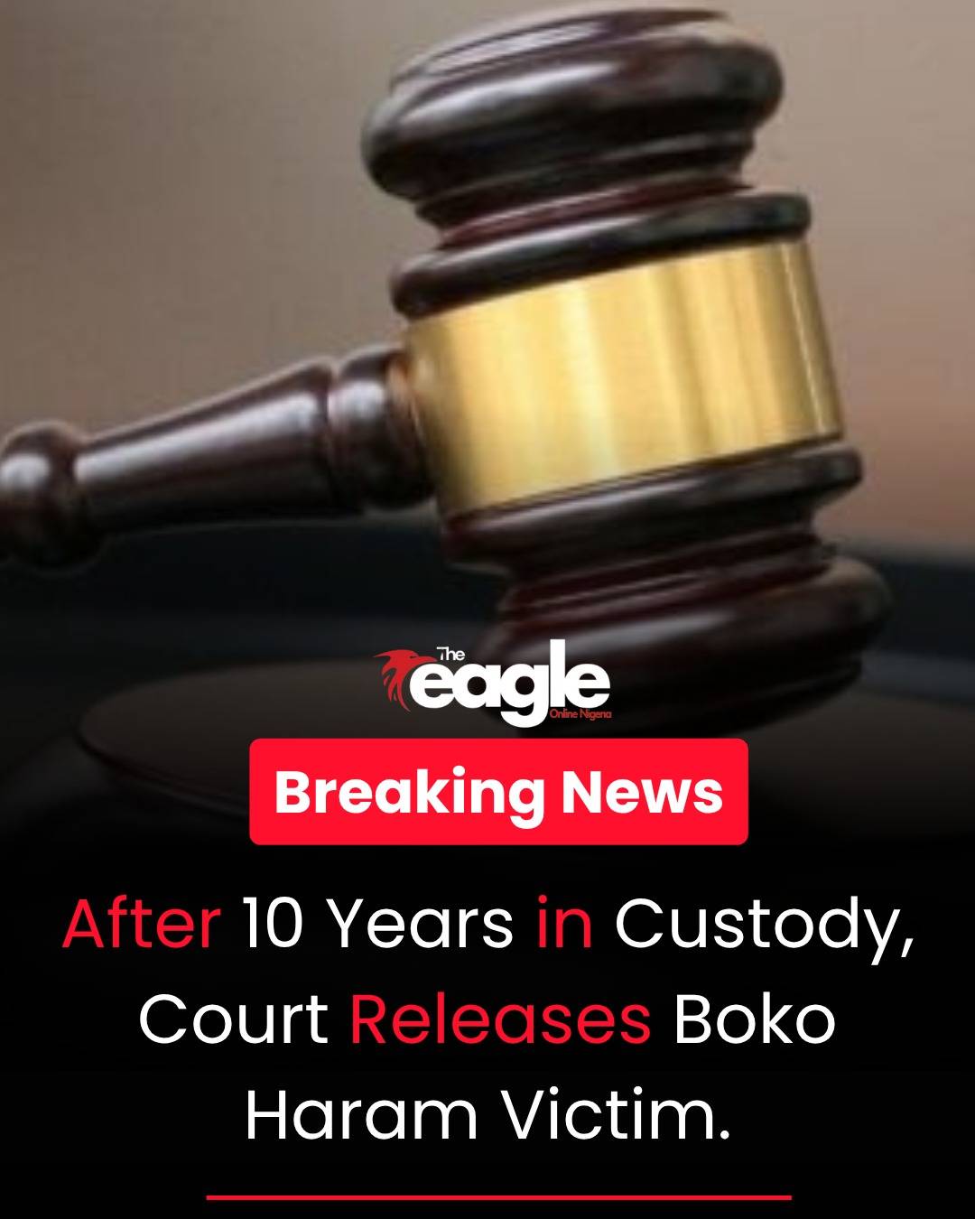 Justice Peter Lifu of the Federal High Court, Abuja, sentenced Boko Haram victim Ali Kolo to a retro...