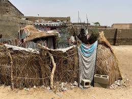 Boko Haram Abducts Over 300 Residents in Deadly Raid on Ngoshe Community
source- https://nigeriann...