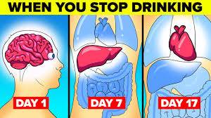 What Happens to Your Body When You Stop Drinking Alcohol
Posted on March 11, 2026
source- https://...