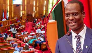 Taiwo Oyedele Confirmed as Finance Minister of State, Promises Fiscal Reforms
source- https://nige...