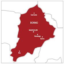 Panic in Maiduguri as Suspected Terrorists Launch Midnight Attack
source- https://nigeriannews24.c...