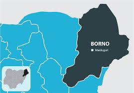 Two Brothers Escape Deadly Maiduguri Bombing That Killed 23
source- https://nigeriannews24.com/202...