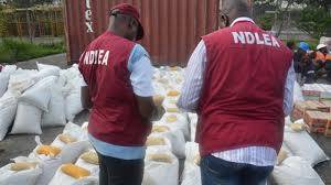NDLEA Strikes Big in Edo, Seizes Over 1.3 Tonnes of Cannabis
source- https://nigeriannews24.com/20...