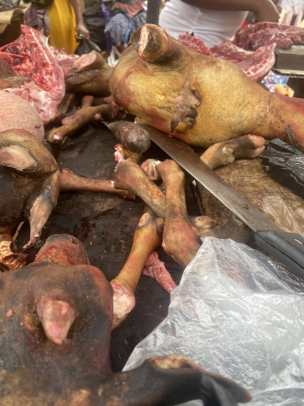 Fresh goat meat for sale