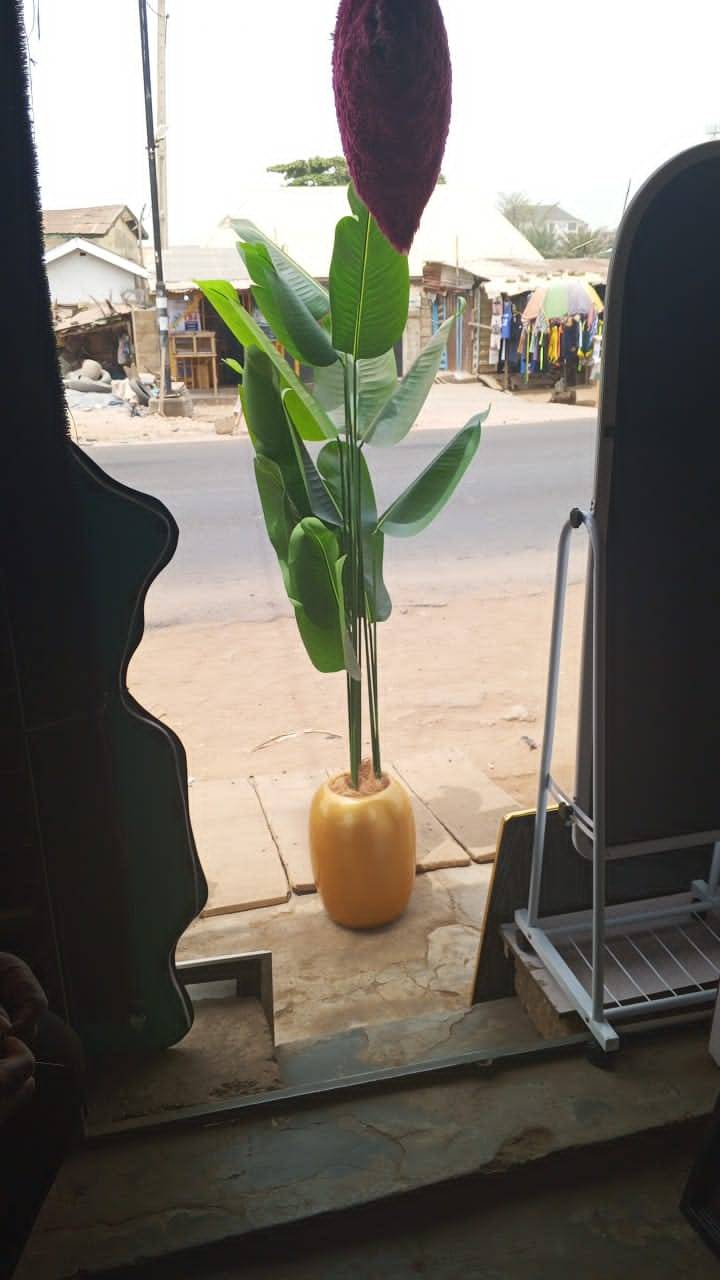 This beautiful artificial plant is available for immediate pickup or delivery.
Size: 200cm
Price: 1...