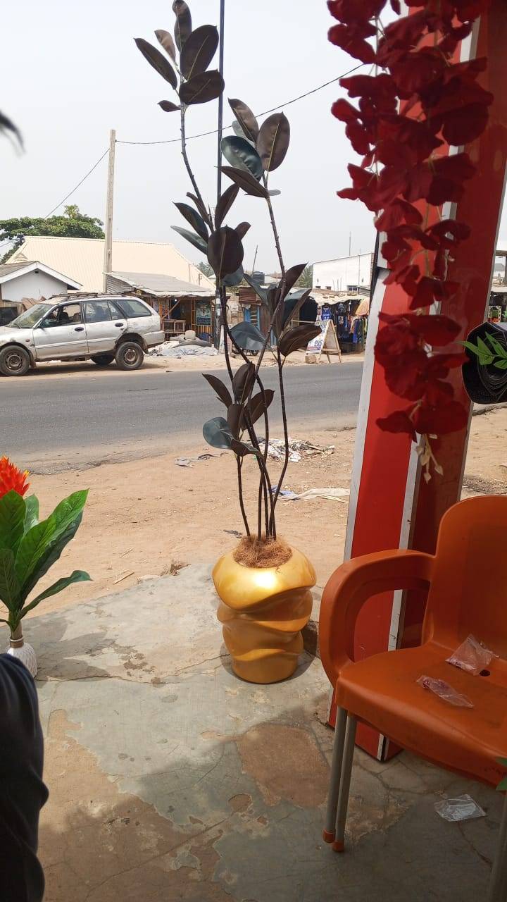 Artificial Ficus Plant is available for immediate pickup or delivery nationwide.
Size: 220cm
Price:...