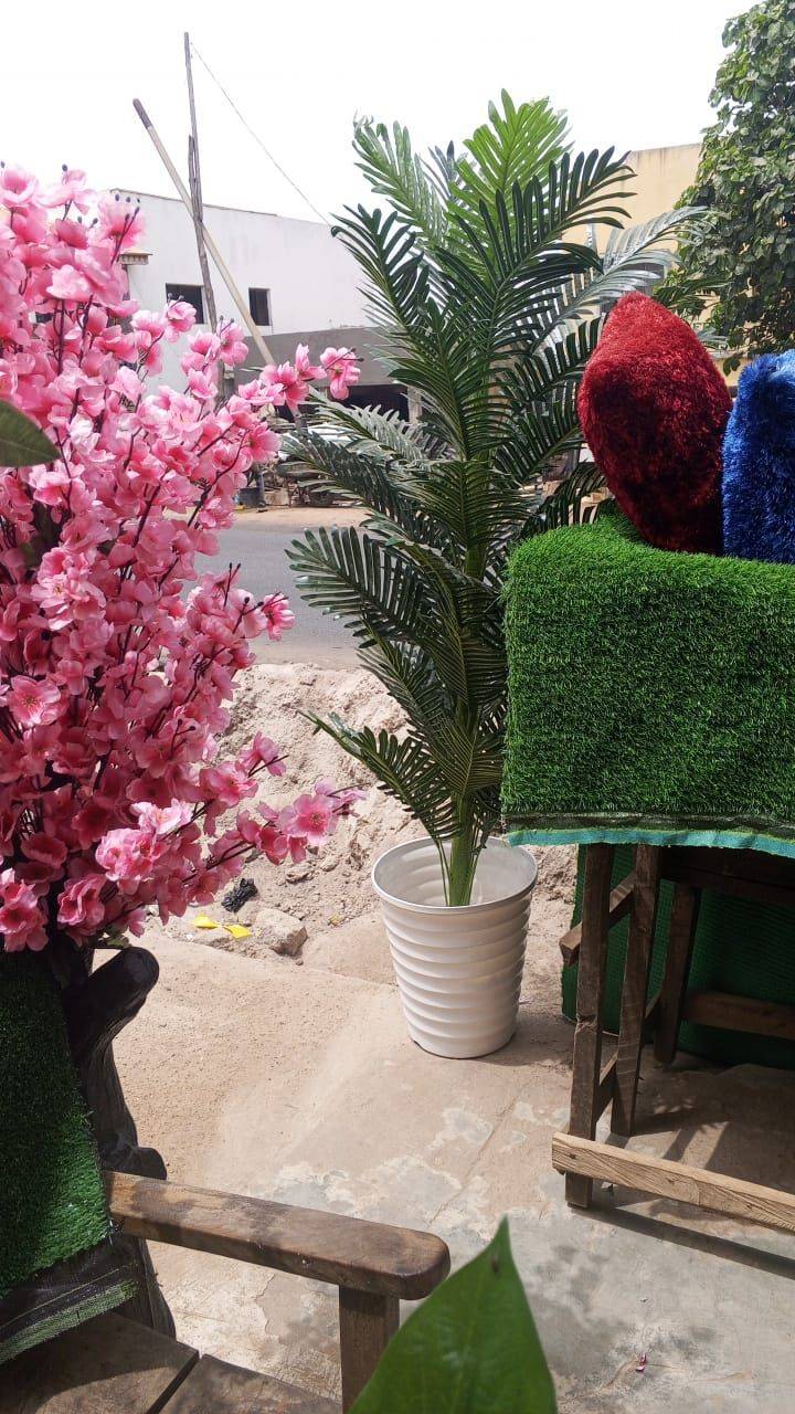 Artificial plants are available for immediate pickup or delivery nationwide.
Contact us today or s...