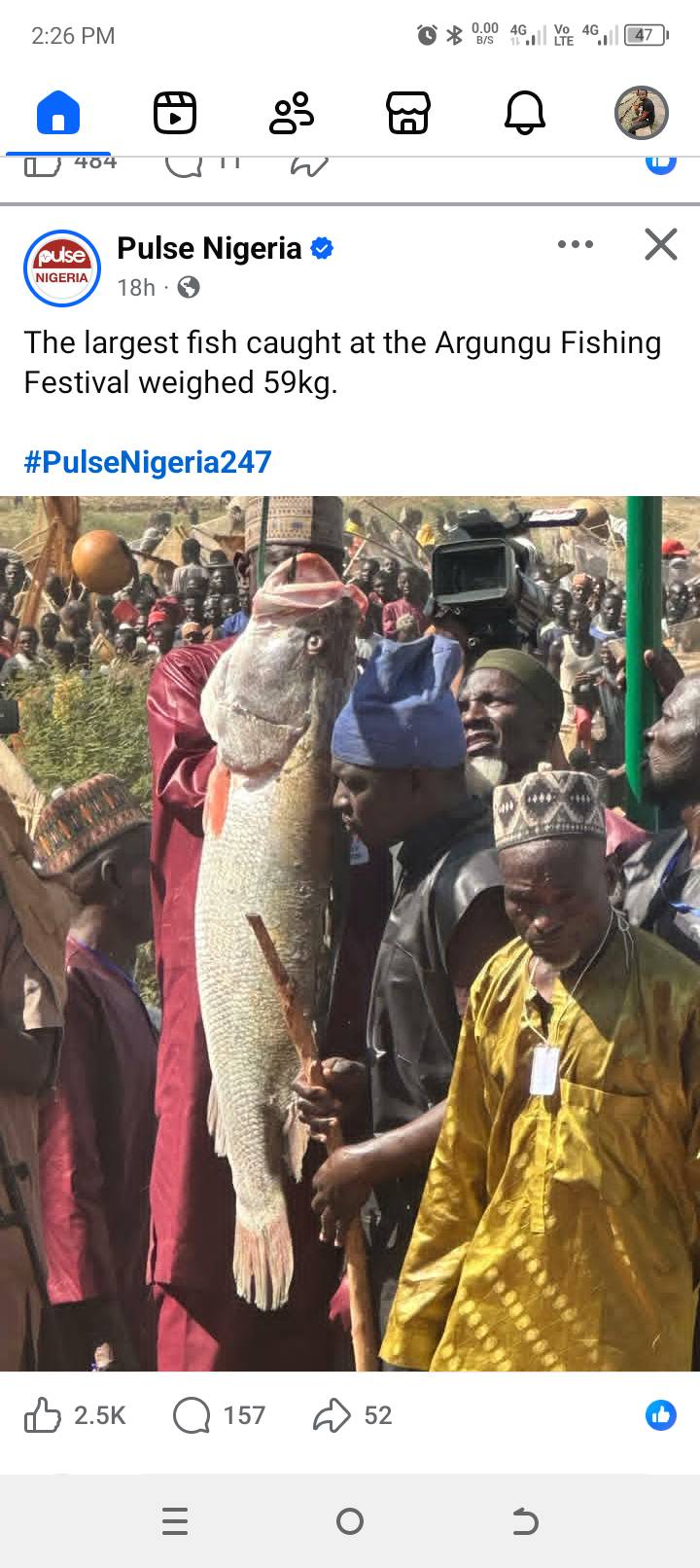 Argungu Fishing festival before and now, the first frame shows the biggest fish caught in the festiv...