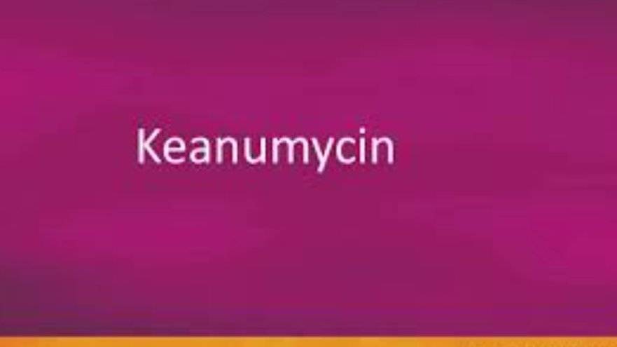 Early 2023 KEANUMYCIN an antifungal drug was discovered and named after Keanu Reeves because the dru...