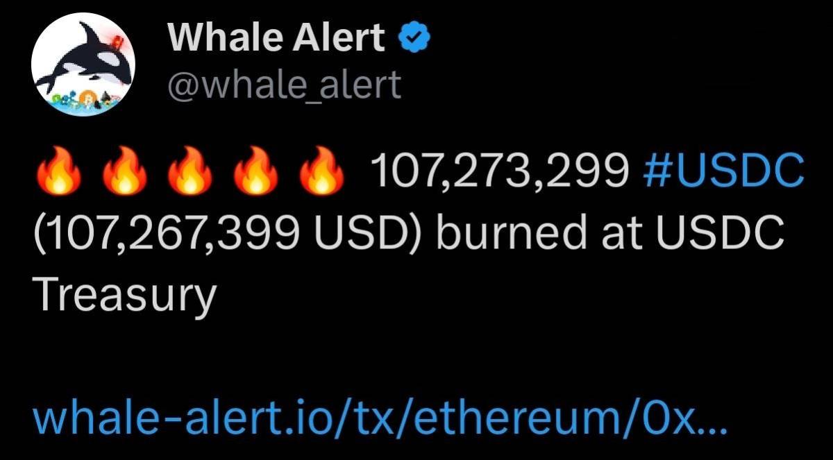 🔥 Whale Alert: 107,273,299 USDC just burned at USDC Treasury