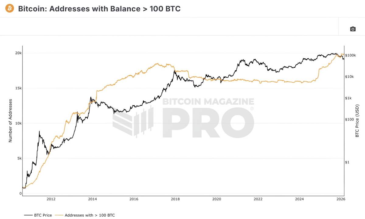 ๐ช The number of addresses holding more than 100 Bitcoin hit a new ATH