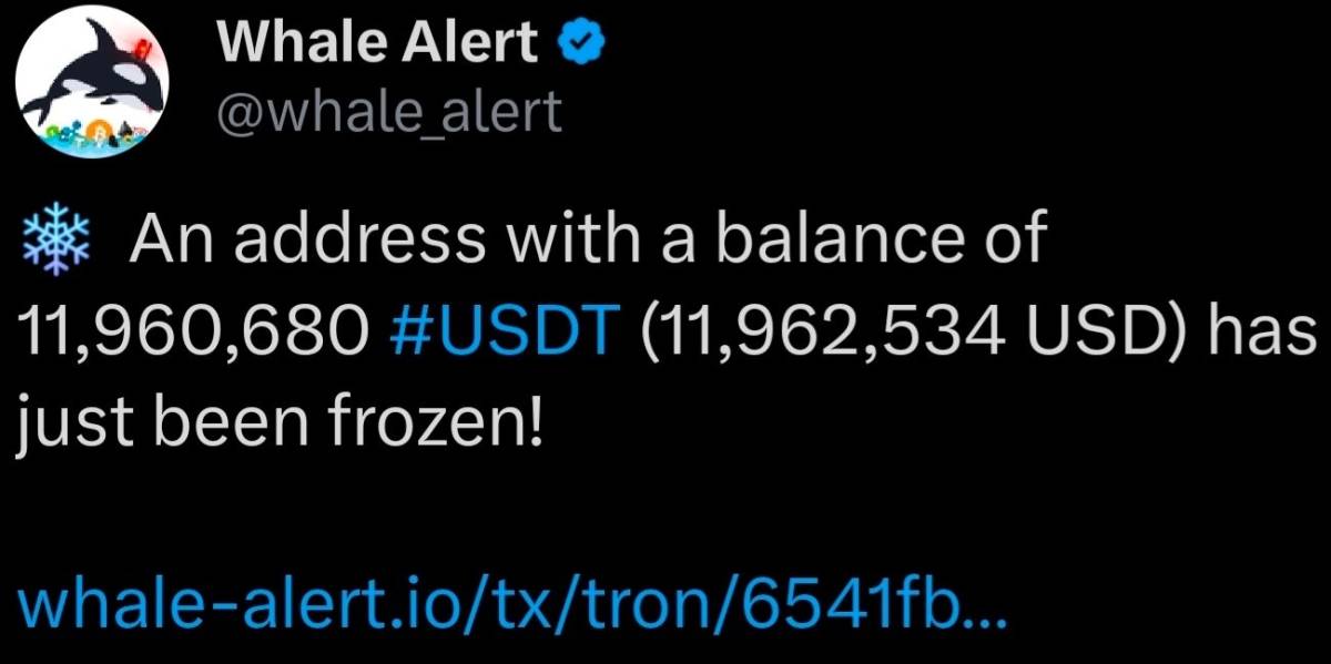 ⚠️ Whale Alert: An address with a balance of 11,960,680 USDT has just been frozen
Looks like someon...