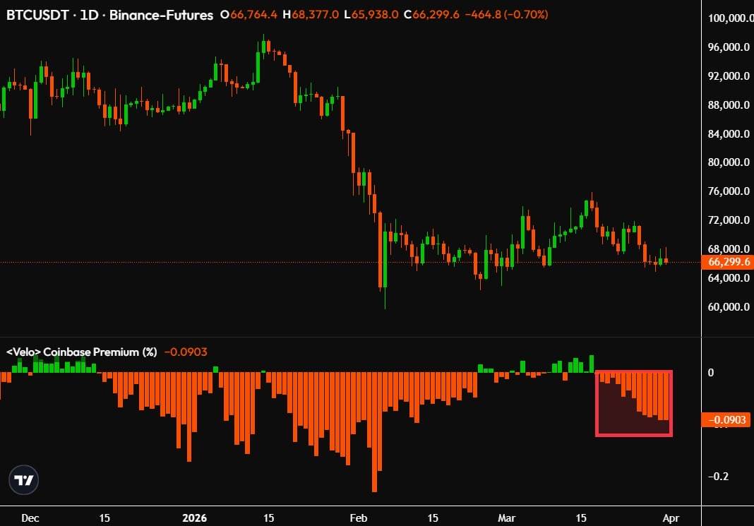 ๐ช Coinbase Bitcoin premium has been negative for 14 consecutive days now
Institutions are dumping...