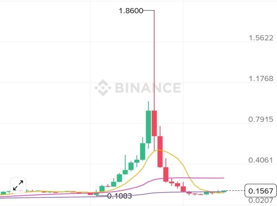 $1.8 to ▶️ $0.15 😳

FOMO is the worst mistake in trading