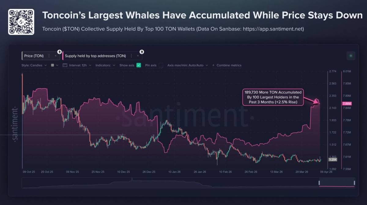 ๐ Toncoin whales have quietly accumulated 189,730 TON over the past 3 months despite the token losi...