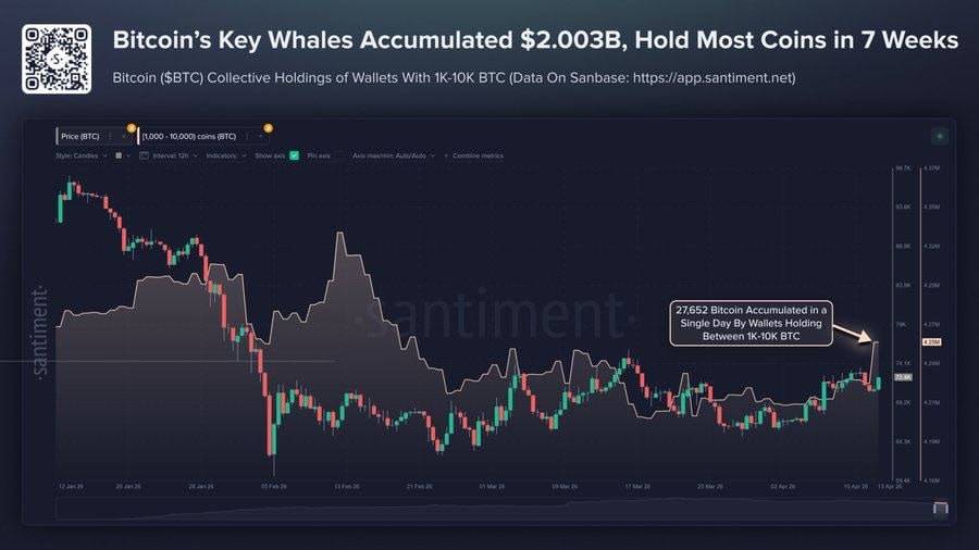๐ช Bitcoin whales holding 1,000โ10,000 BTC now control over 4.25 million BTC, or 21.3% of supply