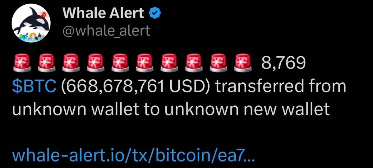 🪙 Big moves: 8,769 BTC (~$668,678,761) just transferred from unknown wallet to unknown new wallet