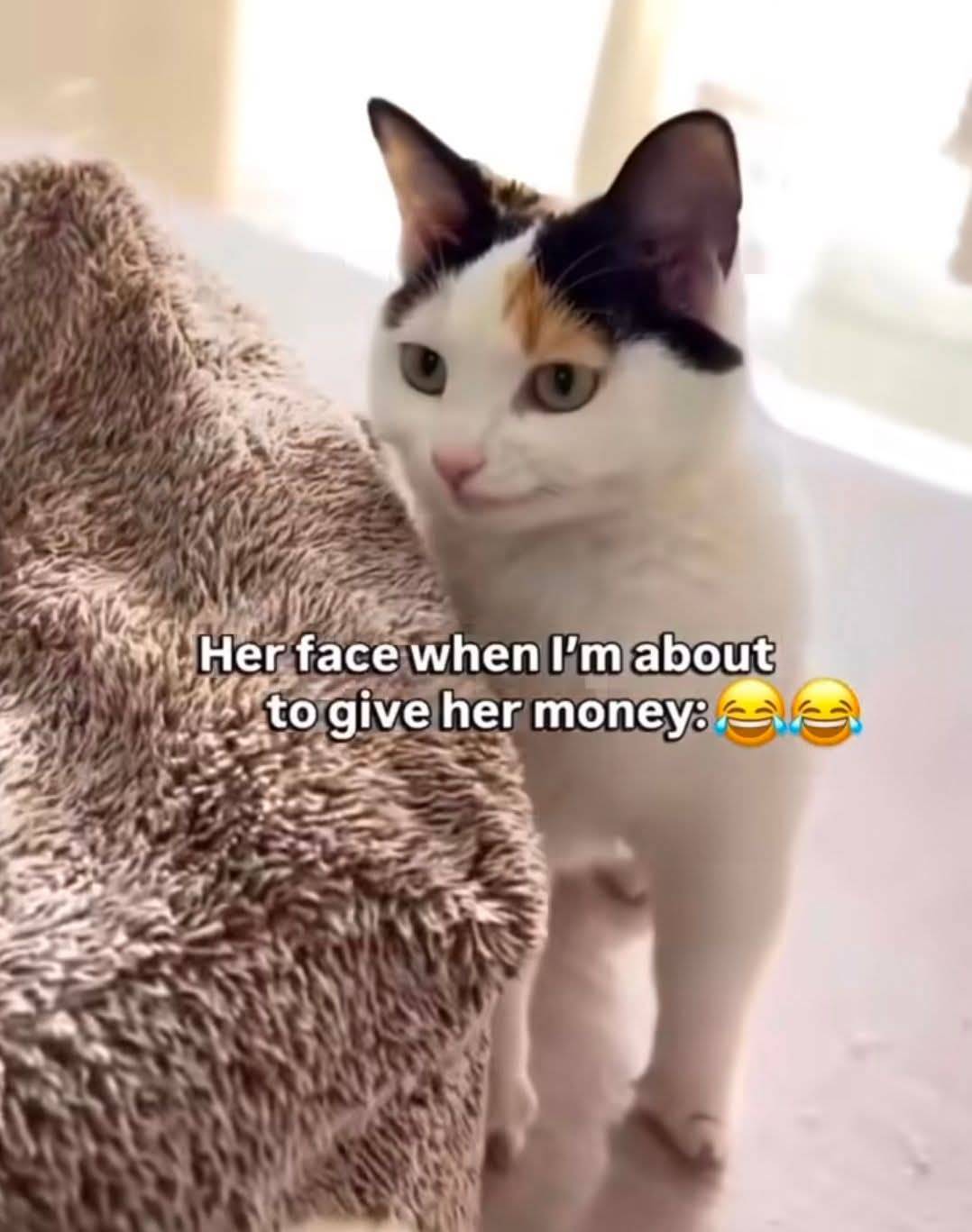 Her: I don't really care about your money, all I need is love