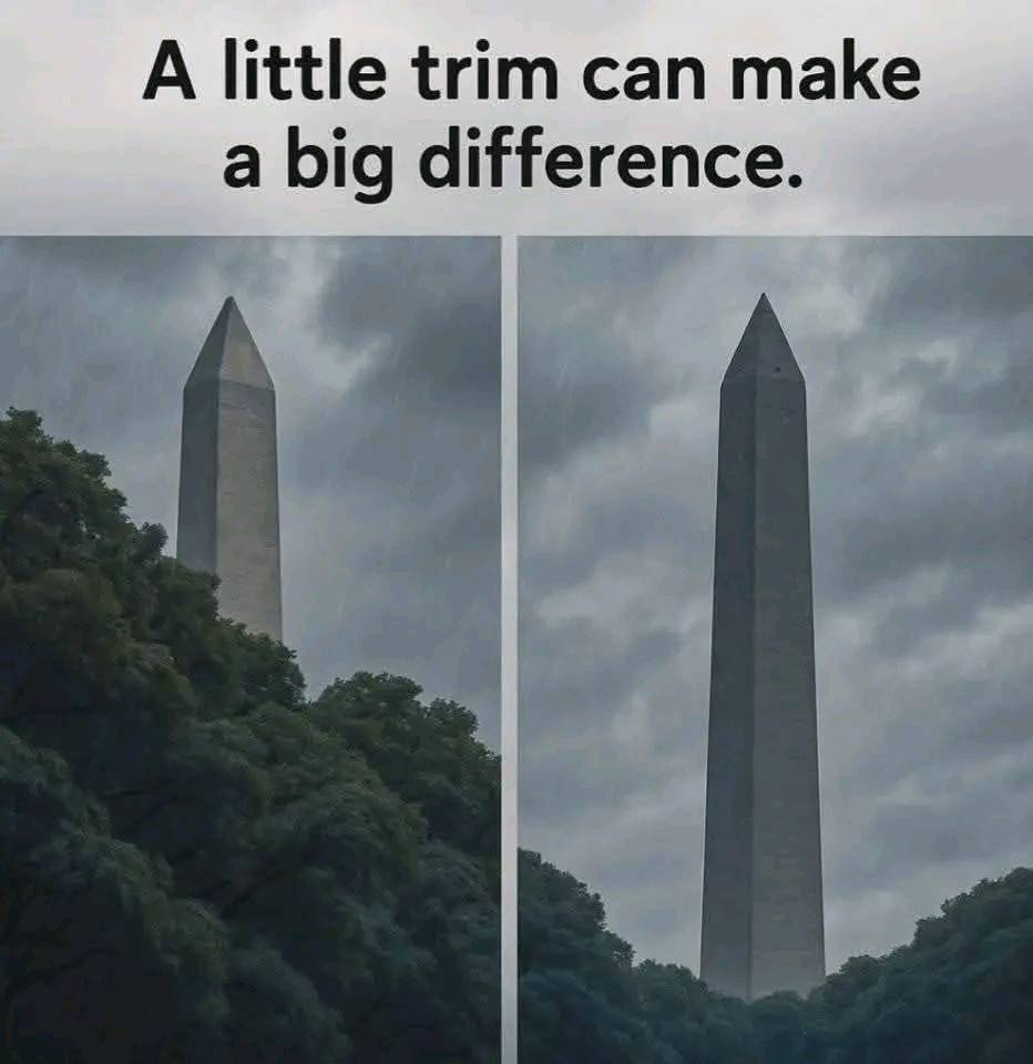 👇👇🤔😊🤗😂👌👂😋