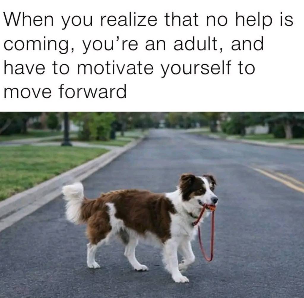 No backup… just me figuring it out.😌