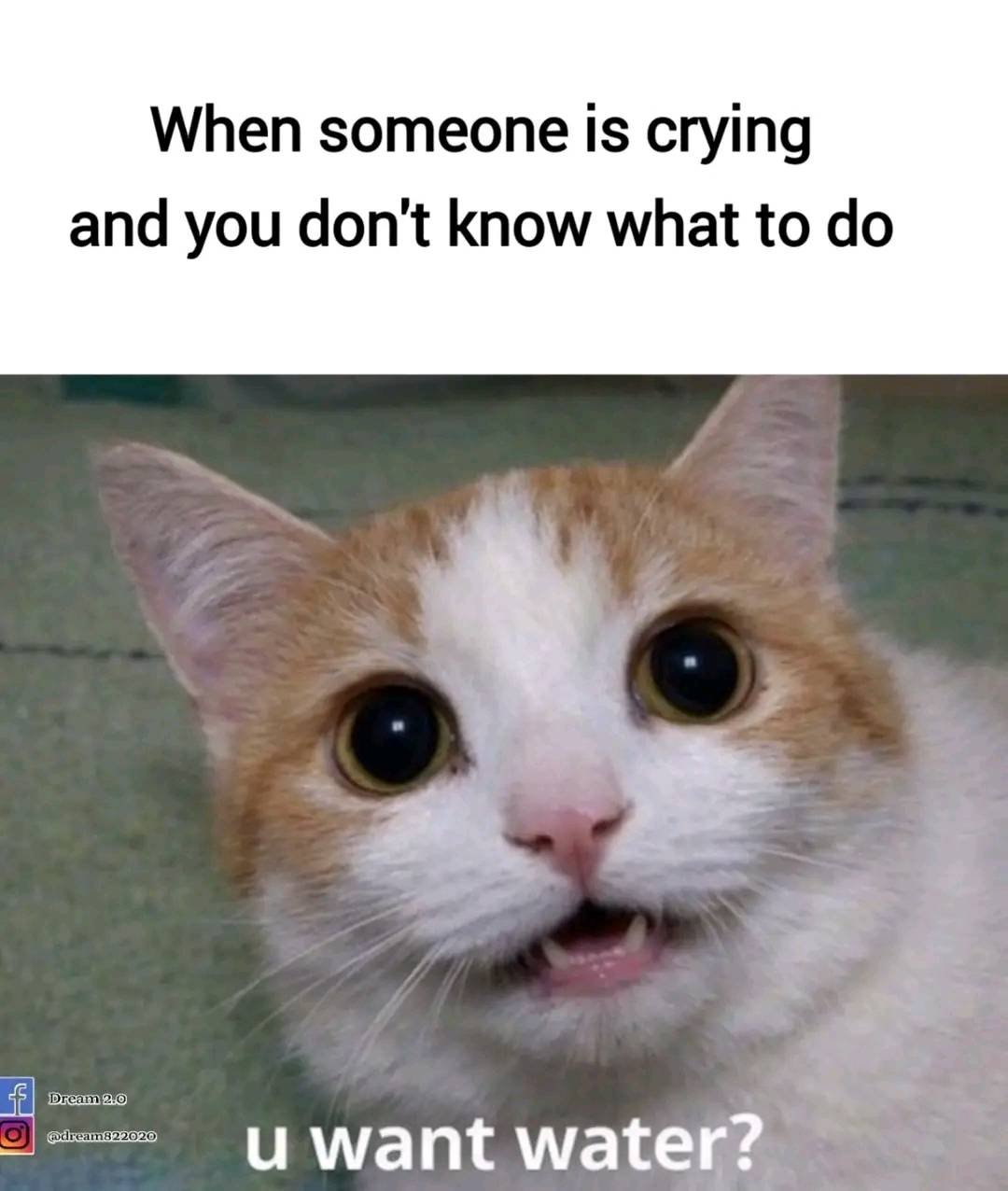😋😋🤔😊😊🤗