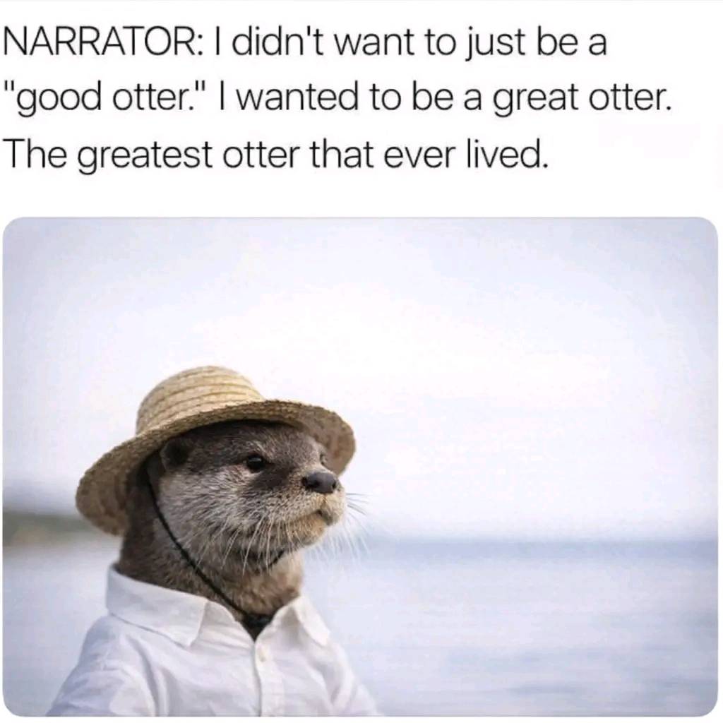 We believe in you, Steve...