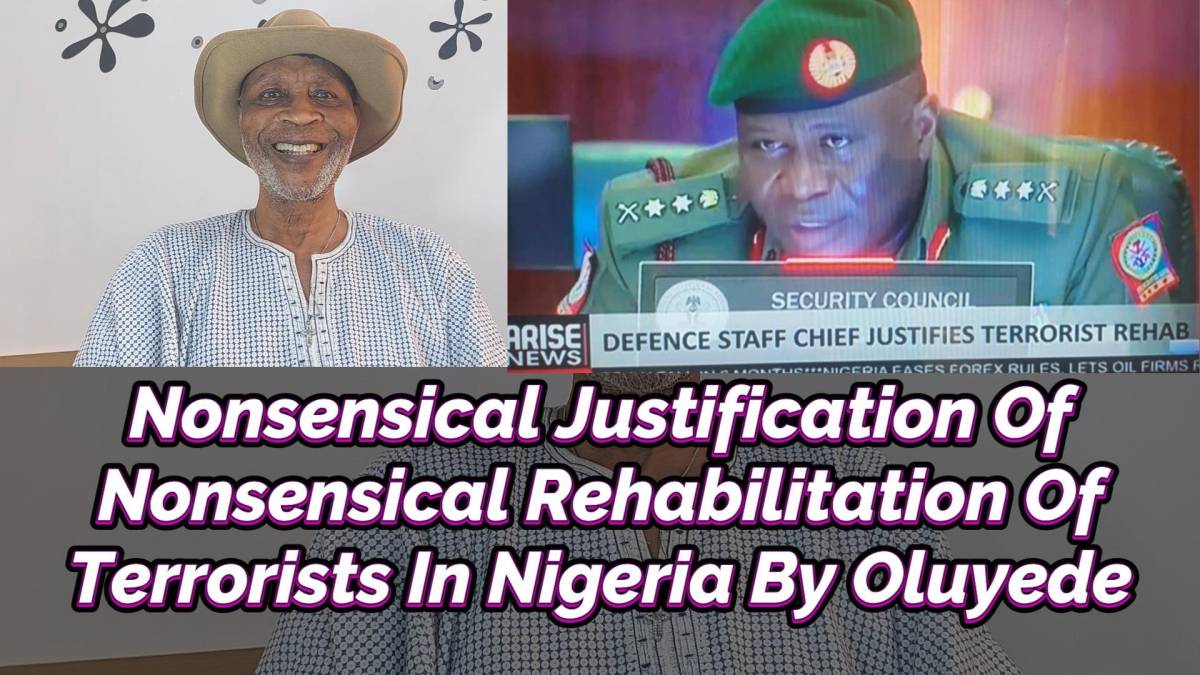 THE NONSENSICAL JUSTIFICATION OF EQUALLY NONSENSICAL SO-CALLED REHABILITATION OF TERRORISTS IN NIGER...