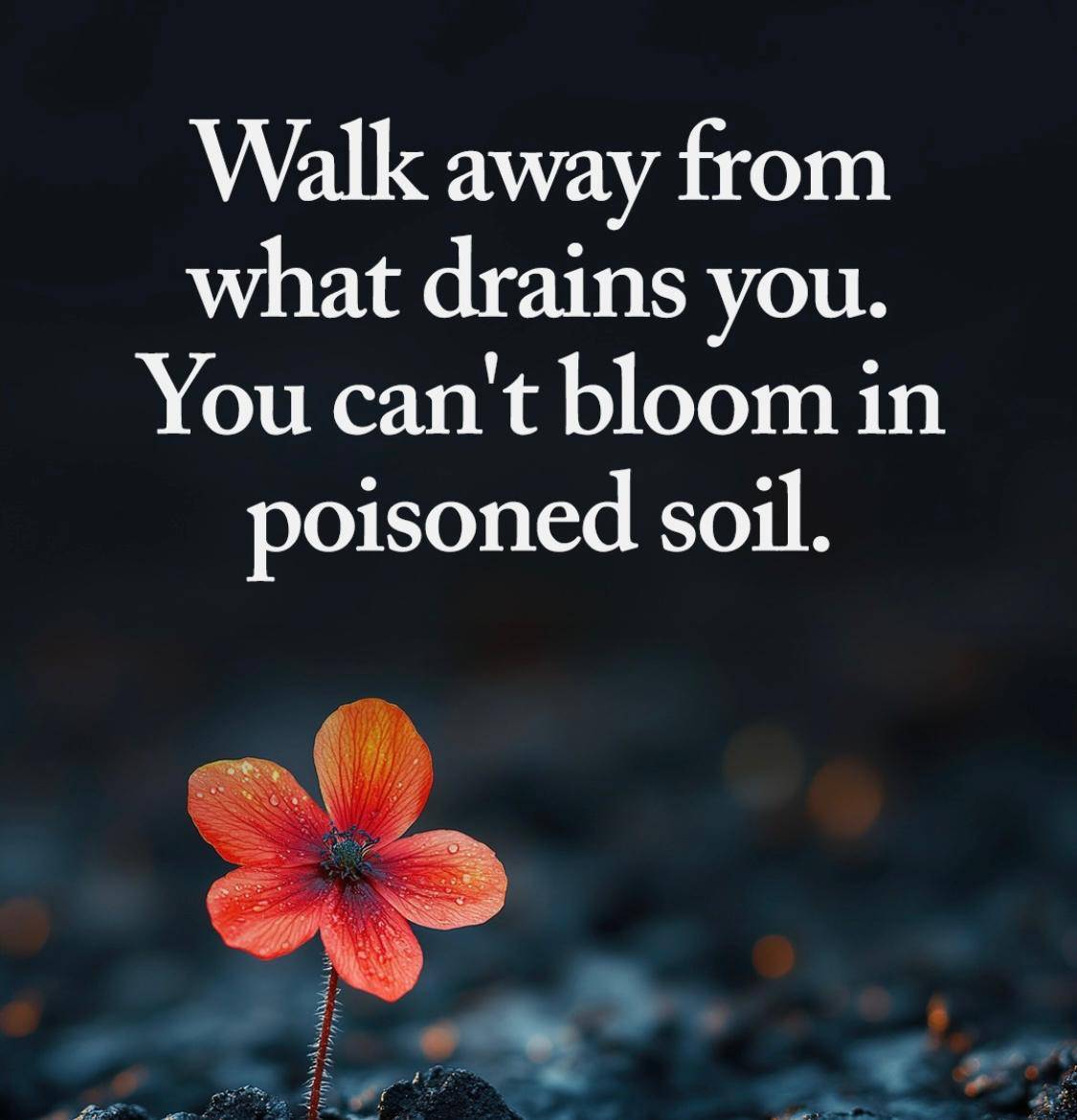 YOU CAN'T BLOOM IN POISONED SOIL.