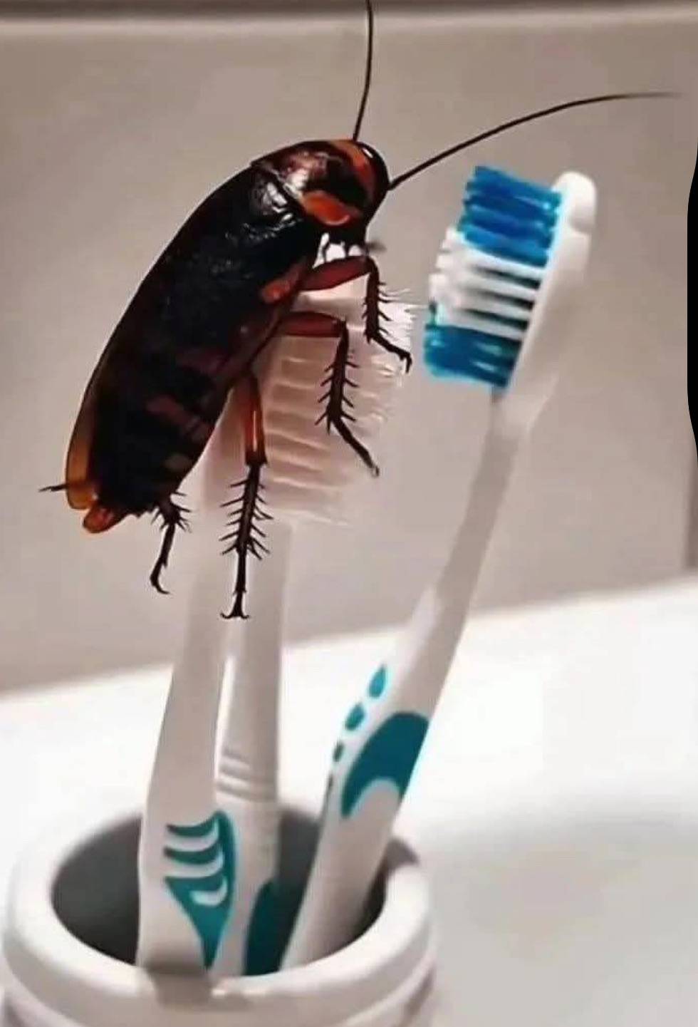 If you are in this situation, what would you do???🥸