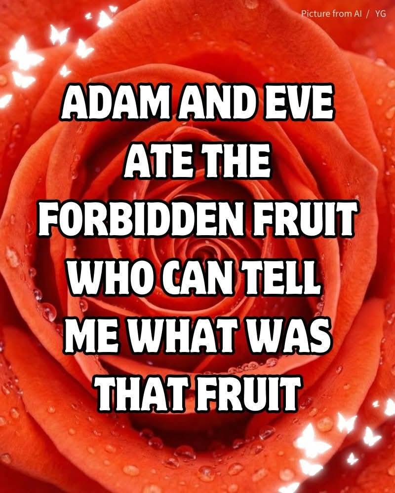 Who can explain this Apple 🍎 literally Plz