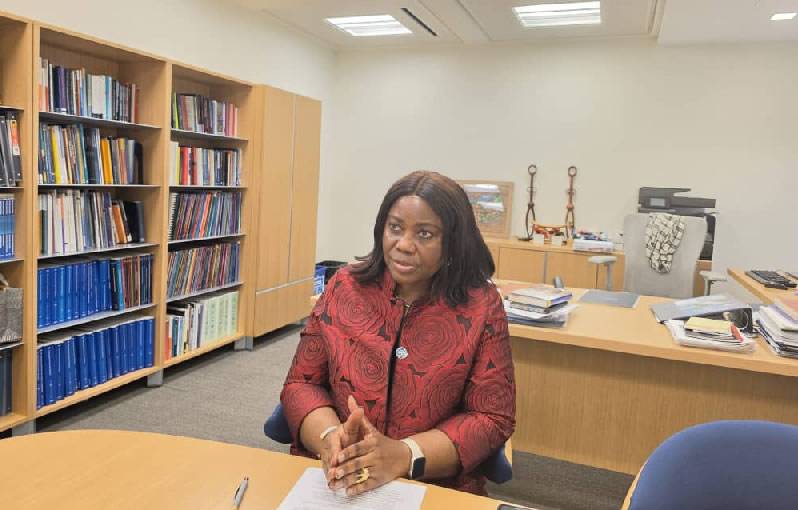 Why IMF, W’Bank loans cost developing nations more – G-24 director

=== https://punchng.com/why-imf-...