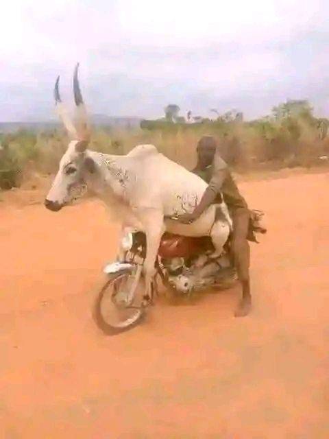 Who you think is the driving?