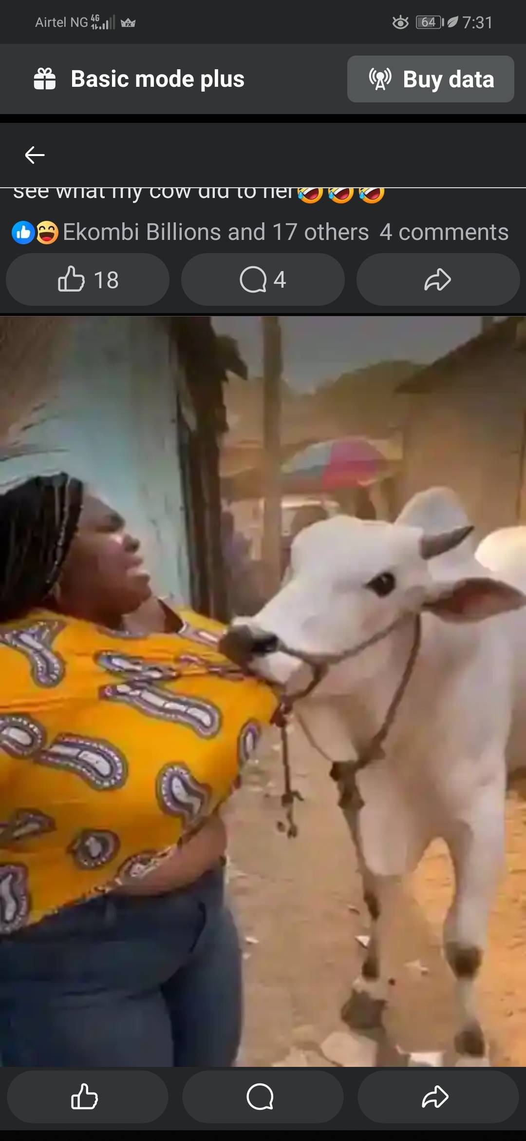 What do you think this cow want from this woman?