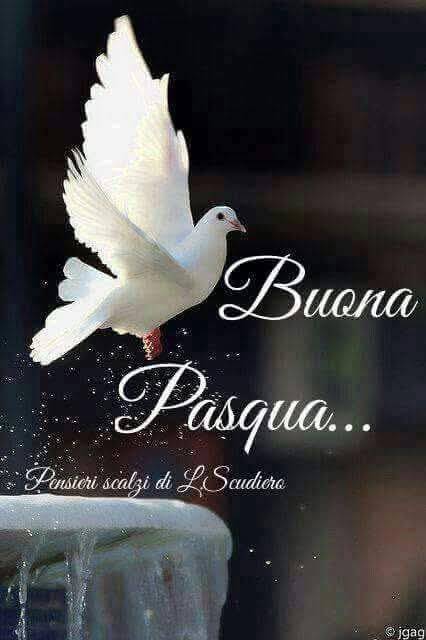 Good morning and Happy Easter