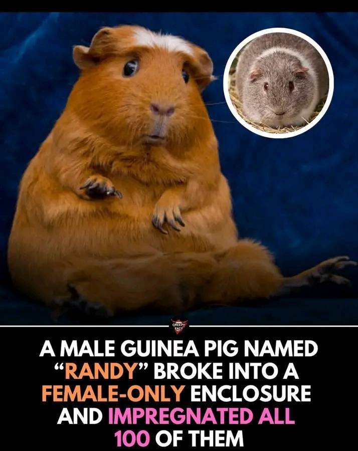I personally salute you Randy 🫡, please join me and salute Randy is not easy🫡