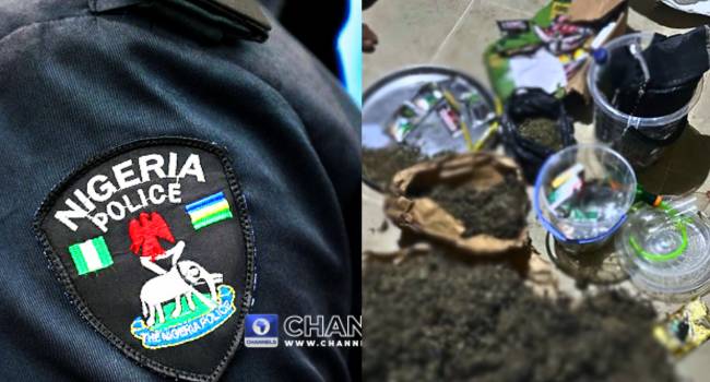 BREAKING: Police Arrest 23 Suspects, Recover Illicit Drugs In Akwa Ibom state