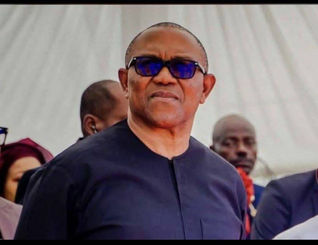 "Indonesia has the highest Muslim population, yet they have no Almajiri."
- Peter Obi