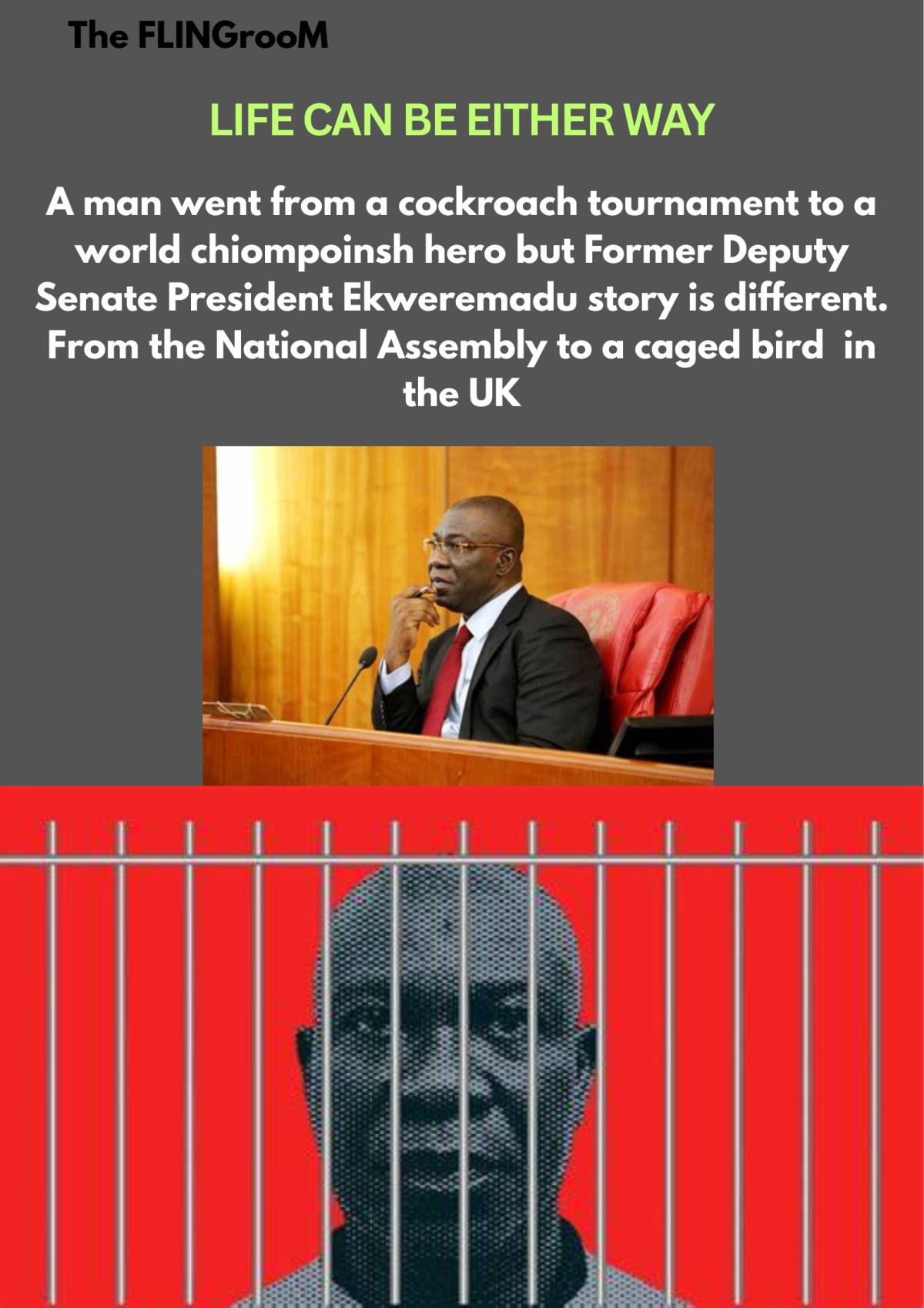 A man went from a cockroach tournament to a world chiompoinsh hero but Former Deputy Senate Presiden...