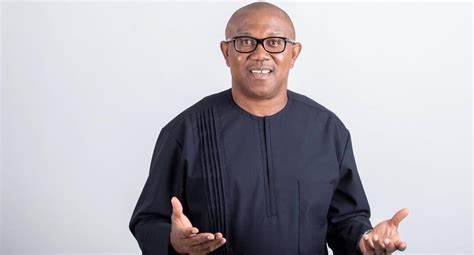 GOOD FELLA OF NIGERIAN POLITICS - looking at Nigeria development through the eyes of the people: the...