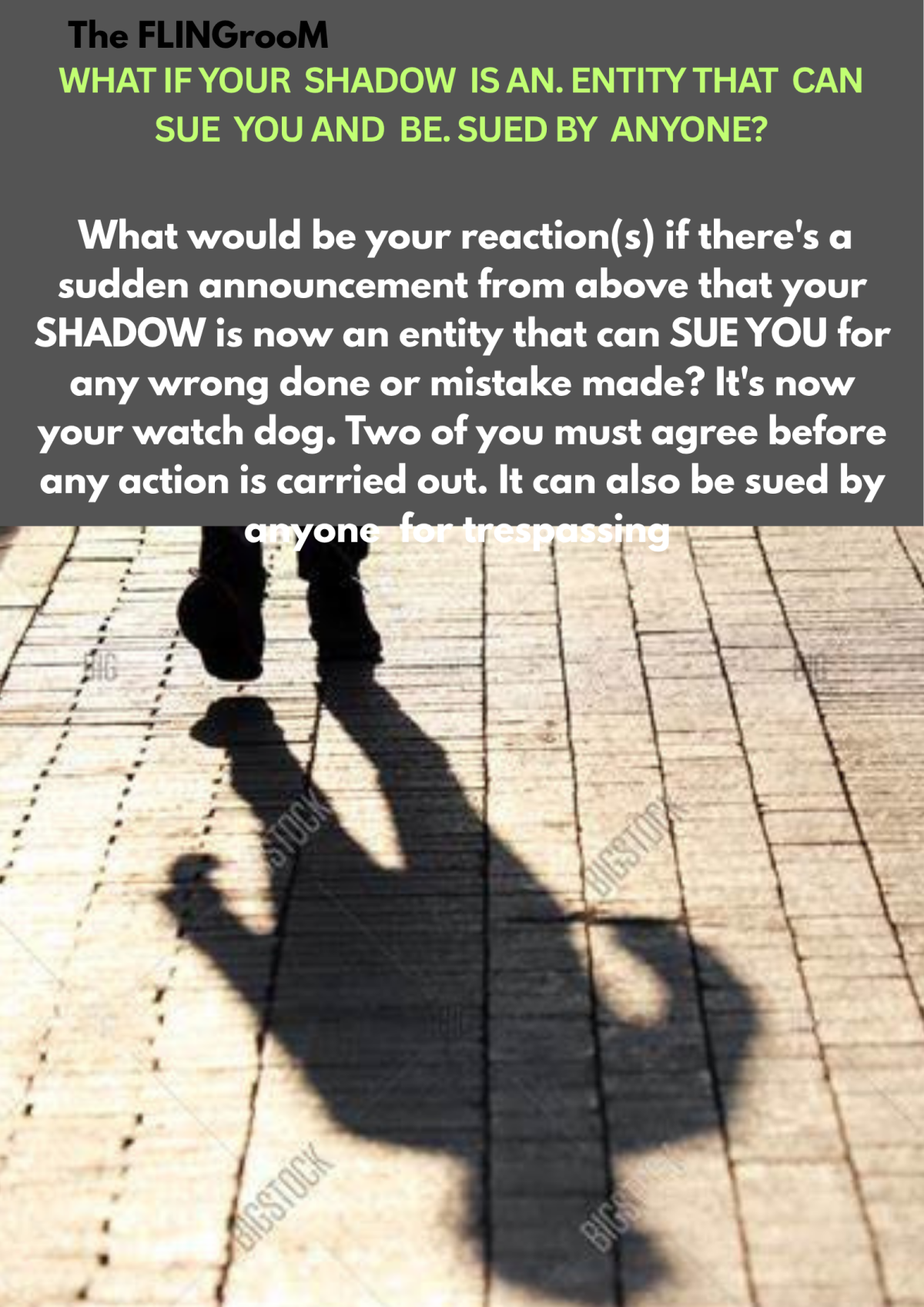 WHAT IF YOUR SHADOW IS AN. ENTITY THAT CAN SUE YOU AND BE. SUED BY ANYONE?
#TheFLINGrooM