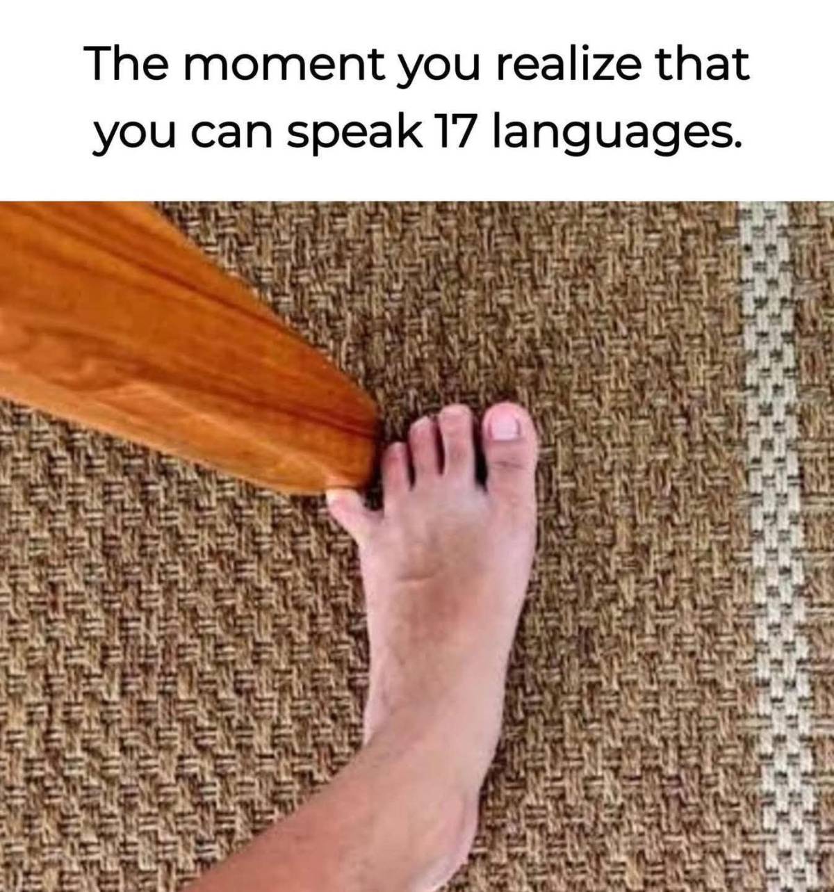 🤣🤣🤣
