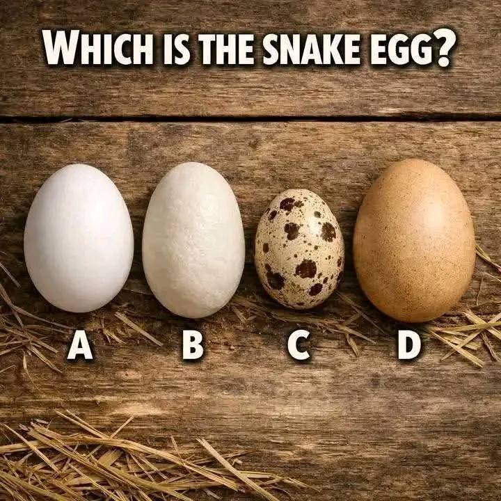 Drop your comment fast before I go make mistake please