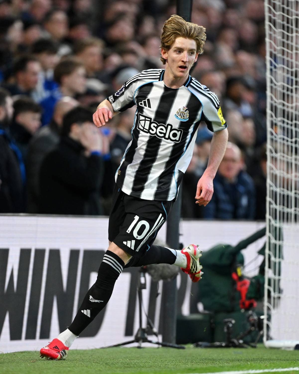⚽ Goal of Anthony Gordon gives #Newcastle the lead against #Chelsea.
#AnthonyGordon #Football #Spo...