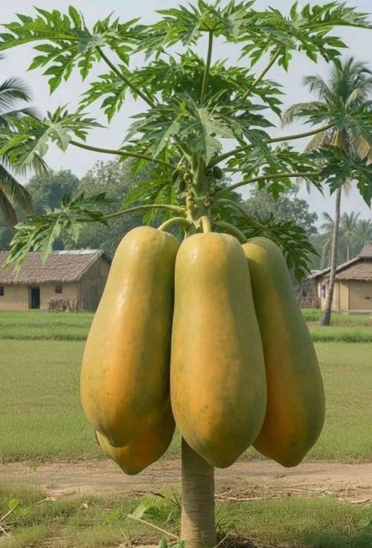 Happy New week officially 
Bless someone this week and be fruitful