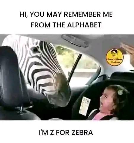 😂🤣