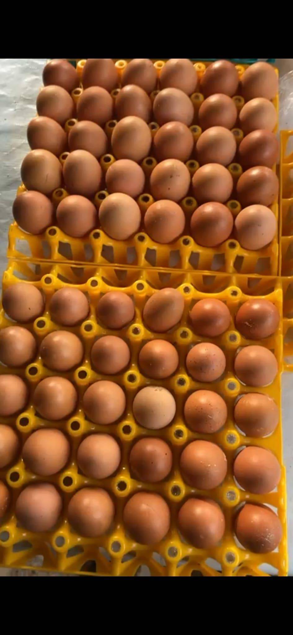 Start farming now