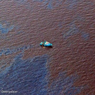 Oil spills are a serious threat to natural resources.
When oil leaks into oceans or rivers, it sprea...
