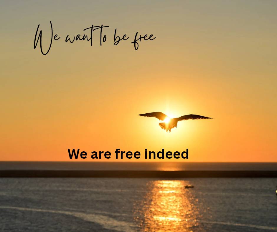 Freedom is defined as the power to act, speak,or think without hindrance, often achieved through cou...