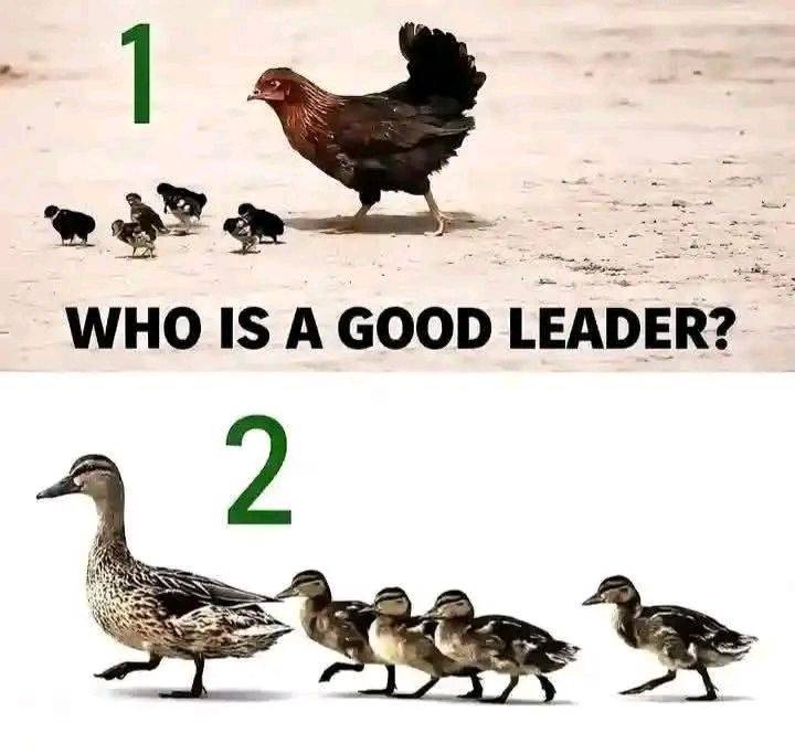 Who's a good leader